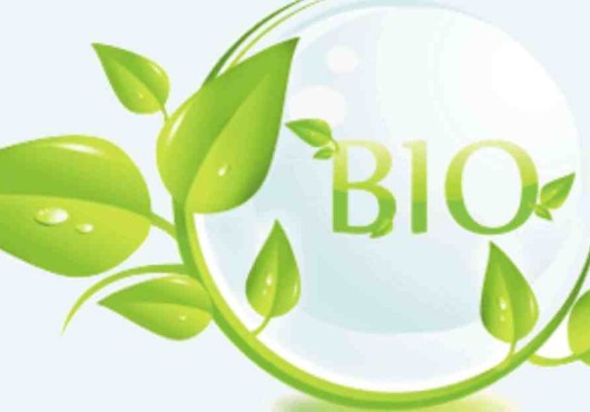 Οικολογικά φυτοφάρμακα