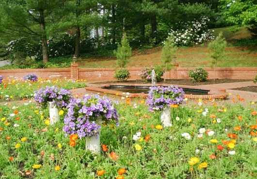 Η βιολογική προστασία των φυτών