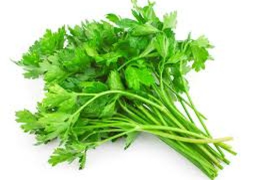 Μαϊντανός στον κήπο μας