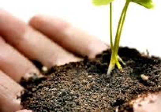 Οικολογική κηπουρική