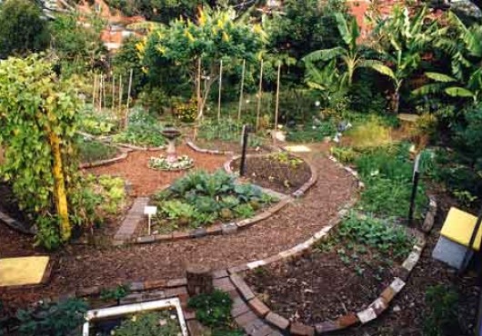 Μόνιμη Καλλιέργεια ή Permaculture - Περμακουλτούρα