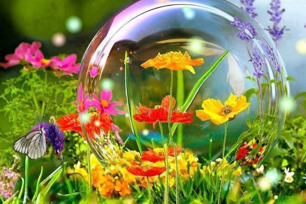 Πρωτότυπες και οικολογικές ιδέες για την περιποίηση των φυτών και των λουλουδιών.