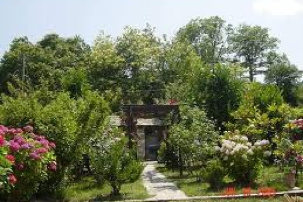 Ξύδι: η χρήση του στη βιολογική γεωργία