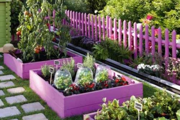 Βιολογική γεωργία