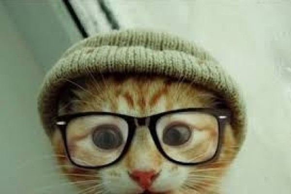 Τα μάτια της γάτας!