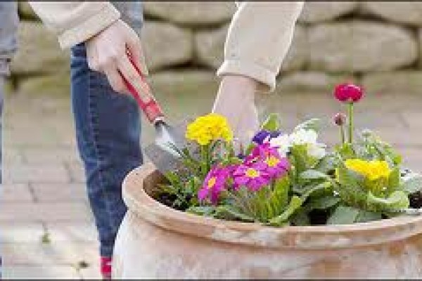 Οικολογικές λύσεις για τα φυτά μας