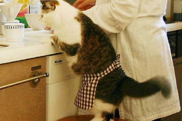 Ο χαδιάρης συγκάτοικός μας!