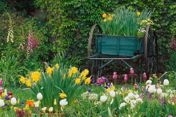 Εύκολες φυτοσυμβουλές