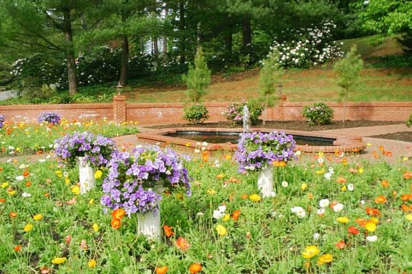 Η βιολογική προστασία των φυτών