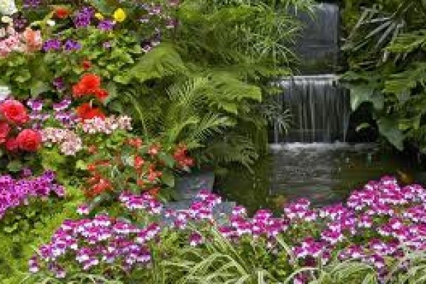 Χρήσιμες συμβουλές για τα φυτά μας