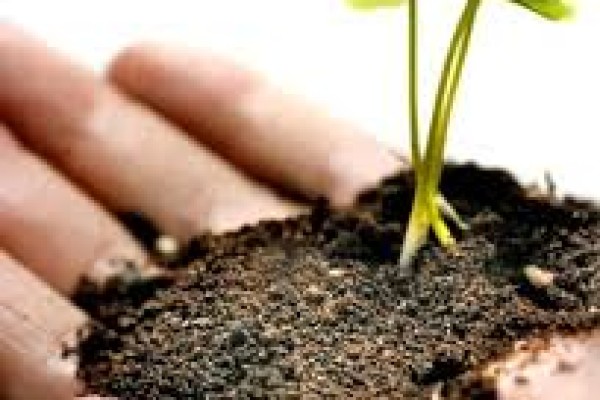 Οικολογική κηπουρική