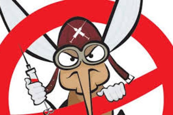 Κουνούπια: καταπολέμηση σε εξωτερικούς χώρους