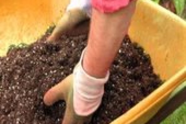 Σπιτικό οικολογικό λίπασμα:μια εύκολη συνταγή