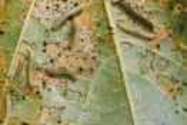 Σποντόπτερα (Λάφυγμα, Προντένια)