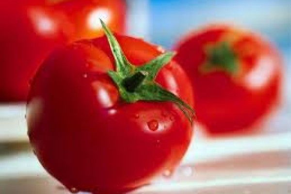 Οι ντομάτες μου αρρωσταίνουν, μήπως φταίει το έδαφος;