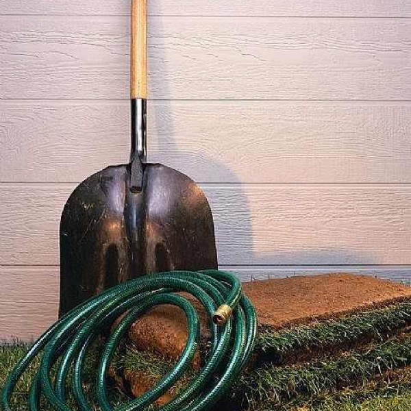 Φυτεύοντας στον κήπο μας την άνοιξη