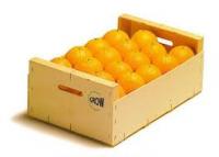 Για "αέρα" πωλούν τα πορτοκάλια οι αγρότες για μια ακόμη χρονιά