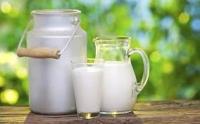 Οι κτηνοτρόφοι αντιδρούν στη ρύθμιση για τη διάρκεια ζωής του φρέσκου γάλακτος