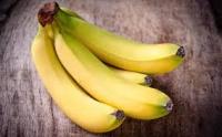 Εξολόθρευση της μπανάνας παγκόσμια