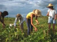 Προδημοσίευση για το μέτρο "Νέων Γεωργών" του Προγράμματος Αγροτικής Ανάπτυξης
