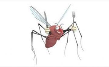 Πως θα αντιμετωπίσουμε τα κουνούπια στον κήπο ή τη βεράντα μας