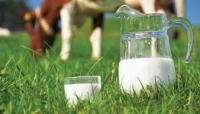ΕΕ: «Όχι» σε επαναφορά της ποσόστωσης στο γάλα