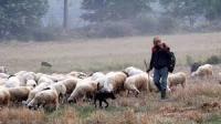 Οι κτηνοτρόφοι της Θεσσαλίας στο ΥΠΑΑΤ