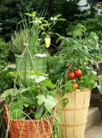 Συμβουλές για ερασιτέχνη καλλιεργητή λαχανικών