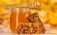 Μέλι: Ποια μικρόβια καταπολεμά