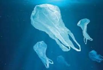 Οι πλαστικές σακούλες στη θάλασσα